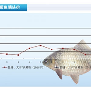 �a�~��������m���ԡ�����ˮ�aǰ�ء�2015��3�¿��Ј�څ��