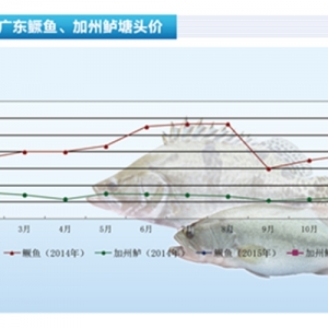 �Z�~���r(ji��)��������(w��n)�� ���r(ji��)���ϝq�^�y������ˮ�a(ch��n)ǰ�ء�2015��3�¿��Ј�څ��