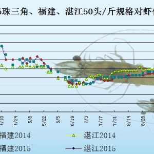 ���r�r���܈��M��Ͷ�缾��  �����r�r�y�q