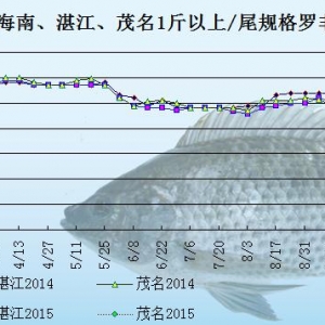 �_���~�r���܈����Qӆ����  �~�r�����»�