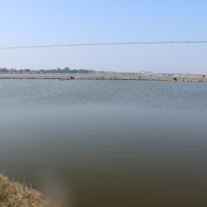 ���տ�������u�~�r���Bģʽ