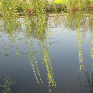 �������ˮ�|�{��