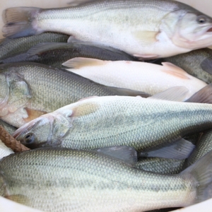 �yһ�����|�~��ȫ�������������|����Ј����������_����