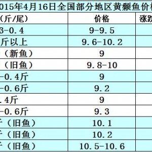 �S��~�r���܈��Ј�����u��  �V�|�~�r�µ�