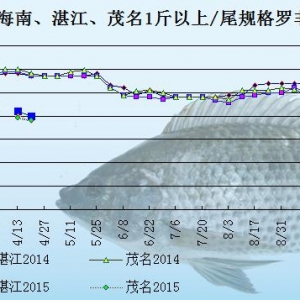 �_���~�r���܈󣺃r�񲻔��½�  ��������͹�