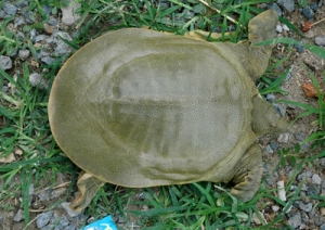 ���~���鼰�ИI�lչ��څ���A�y