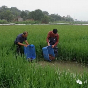 ���Ͼ�ɽ�^(q��)��ɣ���(zh��n)���r�������B(y��ng)����4000���f