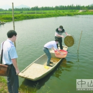 �V�|��ɽ��ˮ�a(ch��n)�B(y��ng)ֳ����ˮ�a(ch��n)�B(y��ng)ֳ�U