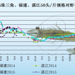 ���r��߅�r���Ј��N���� �����r�r�R��