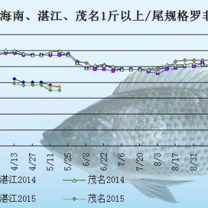 �_���~�r���܈����Q������  �����~�r�y�q