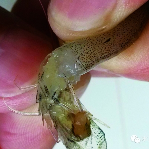 ���|2014���r������r��2015���ش�ʩ