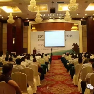 �V�����ֵ؅^�����r�������_�ų� 300���I�ߚJ�ݱ���ԭ��