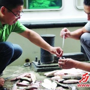 �_�O�D���O��æ���W����æ�O�y ���ң����~�V�|���Ȕ����^��