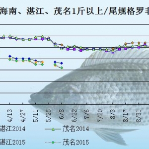 �_���~�r���܈󣺹��S�����ӆ����  �~�r���m����