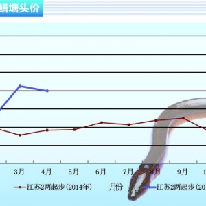 �S�X�r��ƽ�������»�������ˮ�aǰ�ء�2015��5�¿��Ј�څ��