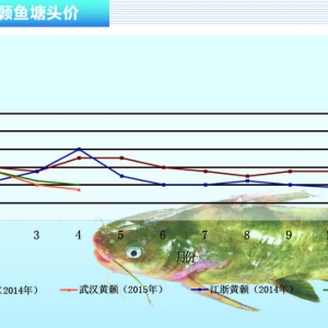 �S��~�r�������ձ��»�������ˮ�aǰ�ء�2015��5�¿��Ј�څ��