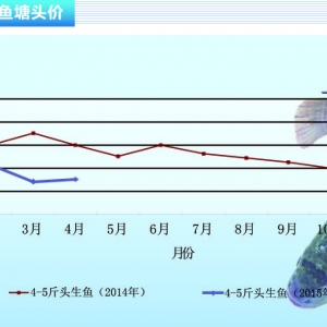 ���~���Ј�����ϡ�� �V�|�~�r���ԡ�����ˮ�aǰ�ء�2015��5�¿��Ј�څ��