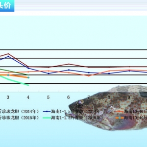 ʯ���~�r�����Љ����󡪡���ˮ�aǰ�ء�2015��5�¿��Ј�څ��