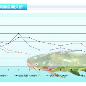 �S��~�r�����顰�������ݡ�������ˮ�aǰ�ء�2015��6�¿��Ј�څ��