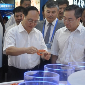 2015�Ї����Hˮ�a���[��������տ������������f������