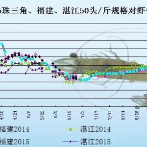 ���r�r���܈󣺹�������  ���w�������