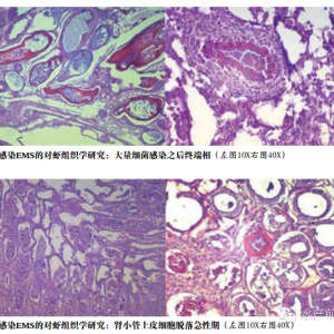 ����һ��°l�F����ʹ���r�B������ߵ�85%