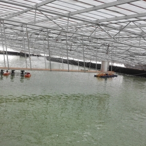 7.5��ˮ������a(ch��n)24�f���r�ġ�ӡ�n��ģʽ