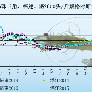 ���r�r���܈��ܴ����N��Ӱ�  �r�r���в���
