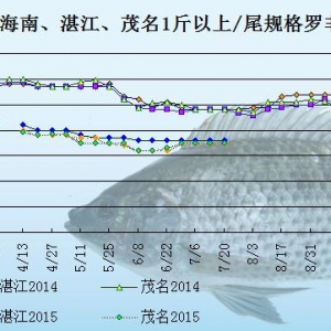 �_���~�r���܈󣺃��N�������N��  �~�r���m�ߵ�