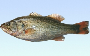 �����|�r�����阷�^ �V�|�؅^����ˮӰ푇���