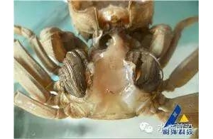 ����؅^��з�Bֳ���M�롰ˮ�T�ӡ��l���߷���