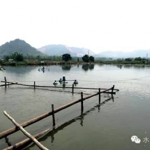 ����â��΢��ˮ���~�_���~���Bģʽ