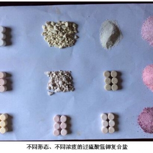 Ԕ���^�����⛡������������