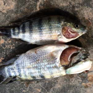 �_���~�~�N�wù����������ԓע����Щ���}��ֹ�Ͱl