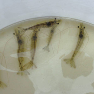 �����Ԍ��r��ϵ���Փ���A�c�䷽���`