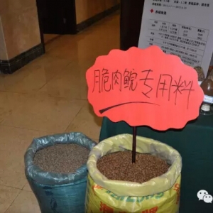 ��������������]Ļ�����@�� ����o������δ����