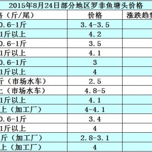 �_���~�r���܈����w���~����  �����~�rڅ��