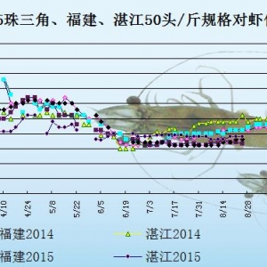 ���r��߅�r�������Ј��N����  �r�r�������{(di��o)