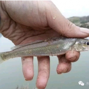 ���[�^���B���r�����ٿɄ���45�|Ԫ�aֵ