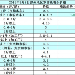 �_���~�r���܈�؛Դ�١������  �����~�r�S��