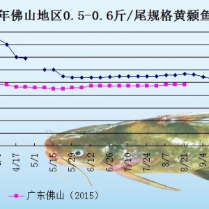 �S��~�r���܈�������u����  �����~�r�ϝq