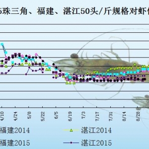 ���r�r���܈󣺌��r��������  �r�r�����ϝq