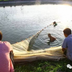 ɳ�F�~���}��ˮ�����Bֳԇ򞣺���������f��