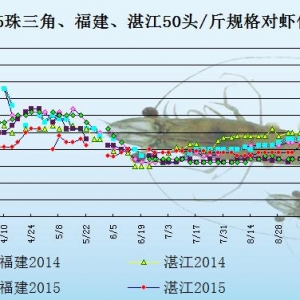 ���r��߅�r���B(y��ng)ֳ��ϧ��  ���r�������p��