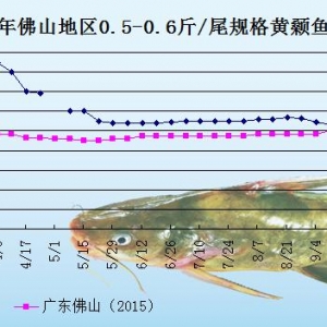 �S��~�r���܈󣺶����N���y����  �r��q������