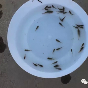 �_���~������ᡱ���Ǽ�����