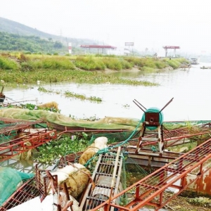 й���Гpʧ��ǧ�f ؟(z��)���y���B(y��ng)ֳ�������_���T