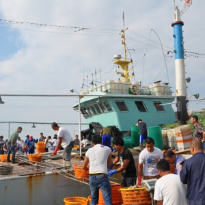 ����-�f��-��I-���Һ���  ����ˮ�aƷƷ�ưlչ��Ӌ