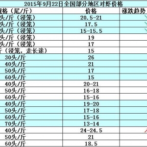 ���r��߅�r����(ji��)ǰ�N��������  �r�r�q������