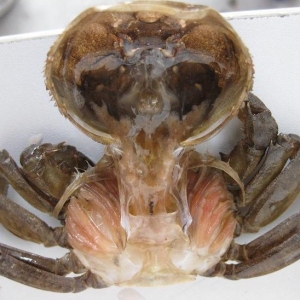 ���������зˮ�T�Ӳ�����ԓ���@�巽���A��